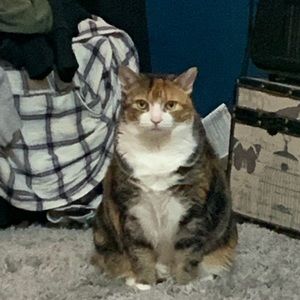 Meet your Posher, Kendra